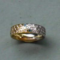 Ring, Paul H. Kroening